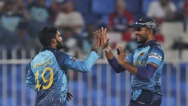 হাসারঙ্গারা সুস্থ হাসারঙ্গারা সুস্থ