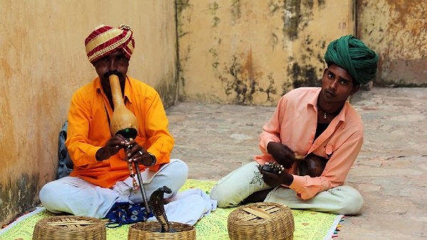 ‘ফোঁস-ফাঁস করলেও এ সাপ কাউকে কাটে না’