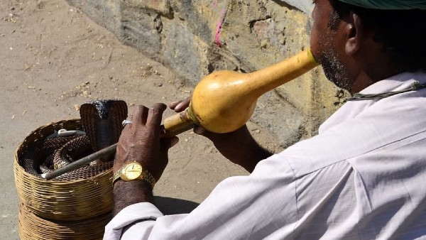 পুনে থেকে প্রায় ২০০ কিলোমিটার দূরে এই গ্রাম