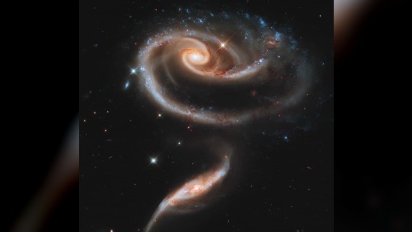 সাঁতারু রোবটের তুলনা ইনগিউনিটি মার্স হেলিকপ্টারের সঙ্গে