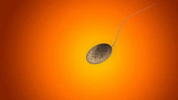 বায়ু দূষণের কু-প্রভাব