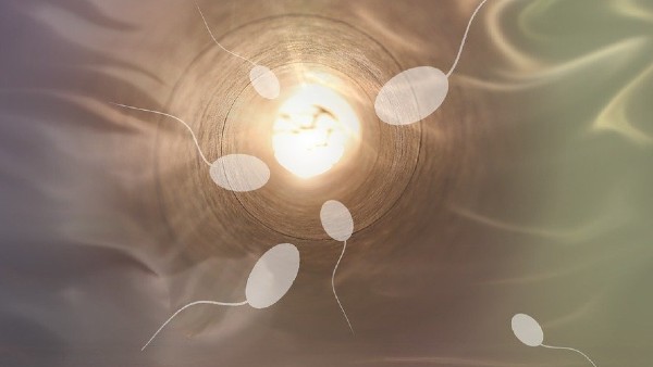  ক্ষমতা হারাচ্ছে শুক্রাণু