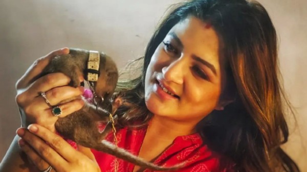 শেকলে বাঁধা প্রাণীর ছবি পোস্ট, বিপাকে শ্রাবন্তী চট্টোপাধ্যায়, নোটিস বন্যপ্রাণী সুরক্ষা বিভাগের শেকলে বাঁধা প্রাণীর ছবি পোস্ট, বিপাকে শ্রাবন্তী চট্টোপাধ্যায়, নোটিস বন্যপ্রাণী সুরক্ষা বিভাগের