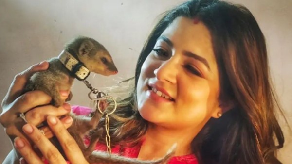 শেকলে বাঁধা প্রাণীর ছবি পোস্ট, বিপাকে শ্রাবন্তী চট্টোপাধ্যায়, নোটিস বন্যপ্রাণী সুরক্ষা বিভাগের শেকলে বাঁধা প্রাণীর ছবি পোস্ট, বিপাকে শ্রাবন্তী চট্টোপাধ্যায়, নোটিস বন্যপ্রাণী সুরক্ষা বিভাগের