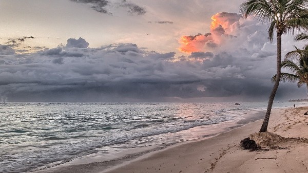  ফেব্রুয়ারিতে প্রথম পর্যটকের দল