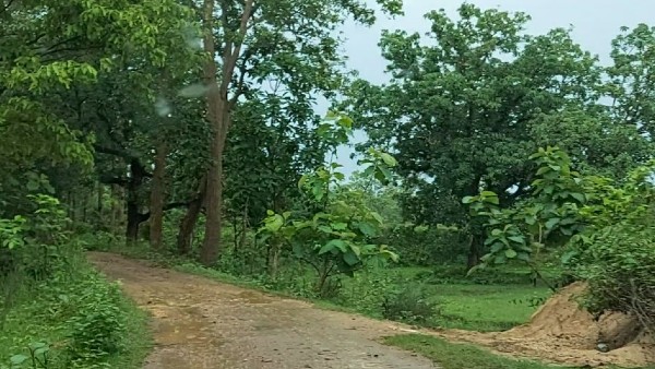 মানুষের মধ্যে আতঙ্ক মানুষের মধ্যে আতঙ্ক