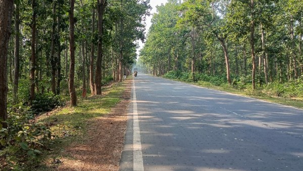 ঘটনাস্থলে বিশাল পুলিশ বাহিনী ঘটনাস্থলে বিশাল পুলিশ বাহিনী