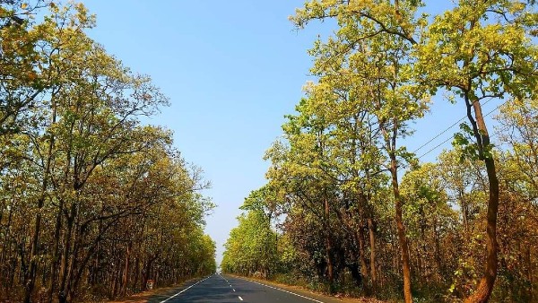 উত্তরবঙ্গের আবহাওয়া উত্তরবঙ্গের আবহাওয়া