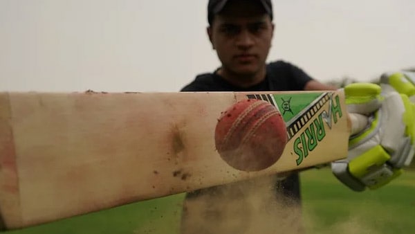 লালার ব্যবহারের নিষেধাজ্ঞা (ধারা ৪১.৩):