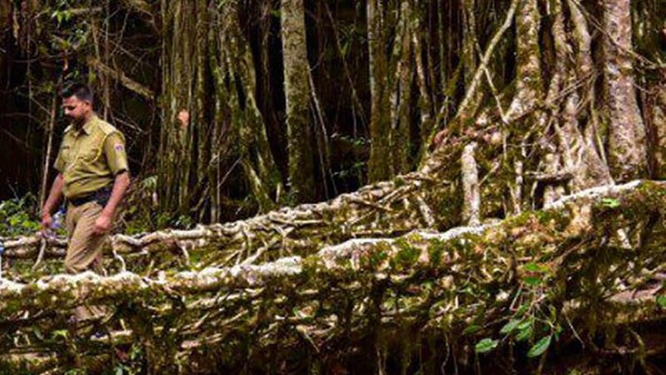 দুই গ্রামের সংযোগ স্থাপন করে এই রুট ব্রিজ