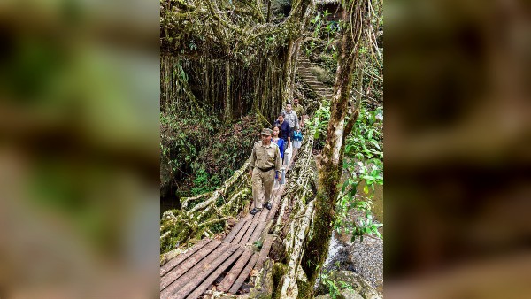  যে কোনও প্রাকৃতিক বিপর্যয়ে অবিচল এই ব্রিজ