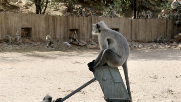 আরও বাড়বে তাপমাত্রা