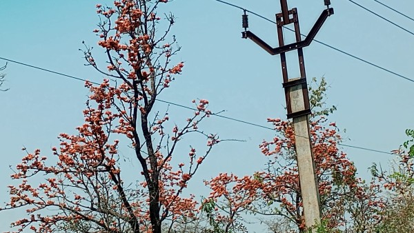 মুরুগুমা জলাধার