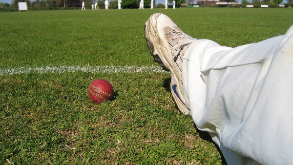 নিউজিল্যান্ড: নিউজিল্যান্ড: