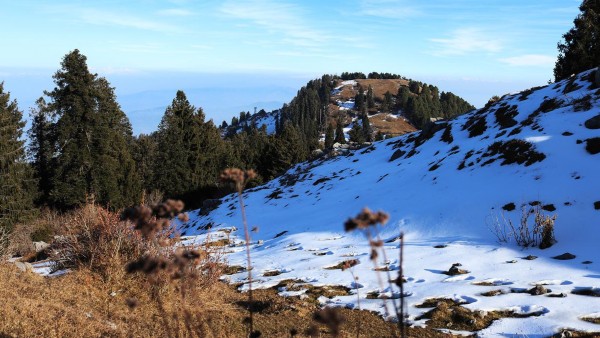 ডালহৌসি