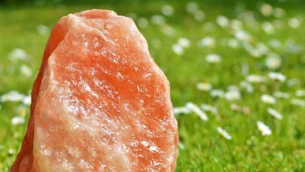 বাথরুমে নুন বা ফটকিরি রাখুন