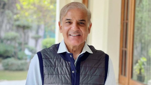 নিজের জায়গা শক্ত করেন শাহবাজ নিজের জায়গা শক্ত করেন শাহবাজ