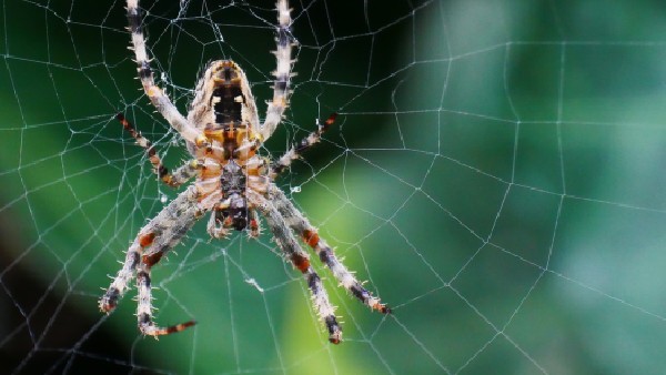 দ্বিতীয় উপায়