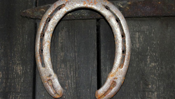 ঘোড়ার নাল বাড়িতে রাখুন