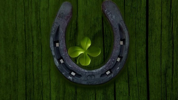 ম্যানিব্যাগে ঘোড়ার নাল রাখুন