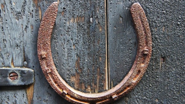 রোগ থেকে মুক্তি পেতে ঘোড়ার নাল ব্যবহার করুন