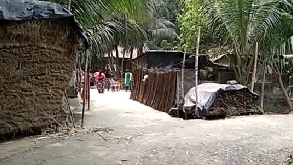 ১৪ দিনের হেফাজতে নিয়েছে পুলিশ