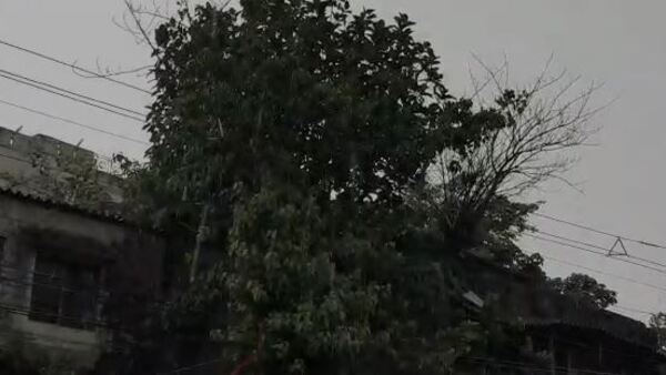 তাপমাত্রার বিশেষ হেরফের হবে না তাপমাত্রার বিশেষ হেরফের হবে না