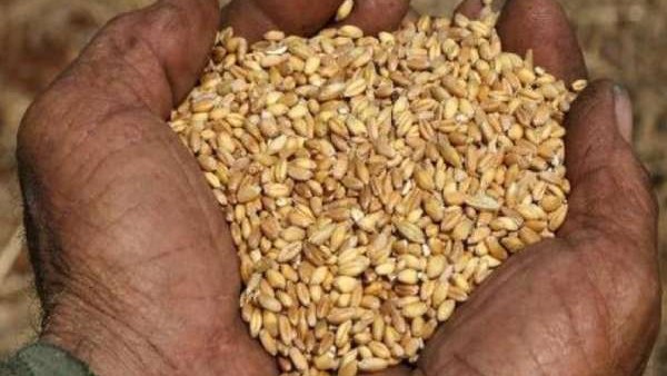 যেসব কারণ উঠে আসছে