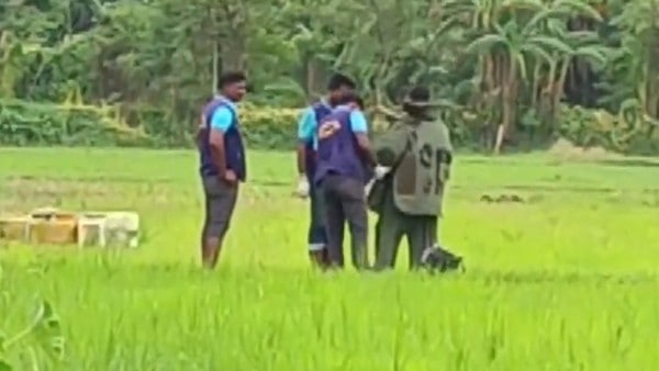 তৃণমূলের পাল্টা