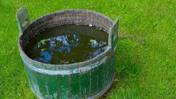 অবশিষ্ট জল বালতিতে রাখবেন না