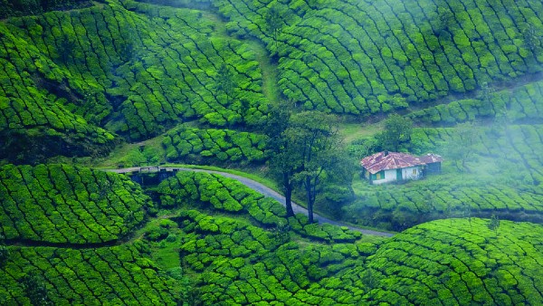 কেরল কেরল