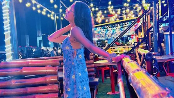 পল্লবীর কেরিয়ার