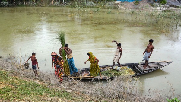 অসমে বন্যা অসমে বন্যা