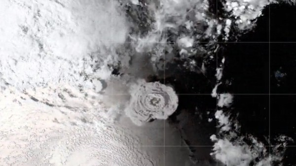 সি-মাউন্টগুলিতে স্বাভাবিক জীববৈচিত্র্য অটুট 