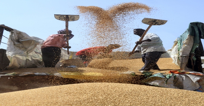 কেন রপ্তানি বন্ধ করতে চায় ভারত? 