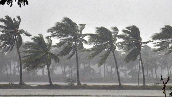 ওড়িশা ও পশ্চিমবঙ্গে হাল্কা বৃষ্টির পূর্বাভাস