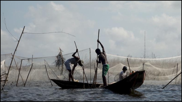 বেনিন বেনিন
