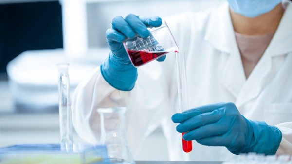 ম্যাগনিফিকা আবিষ্কার নিয়ে সামুদ্রিক জীববিজ্ঞানীর গবেষণা ম্যাগনিফিকা আবিষ্কার নিয়ে সামুদ্রিক জীববিজ্ঞানীর গবেষণা