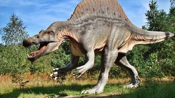 ২০০৭ সালে ডাইনোসরের বিচরণের প্রথম প্রমাণ 