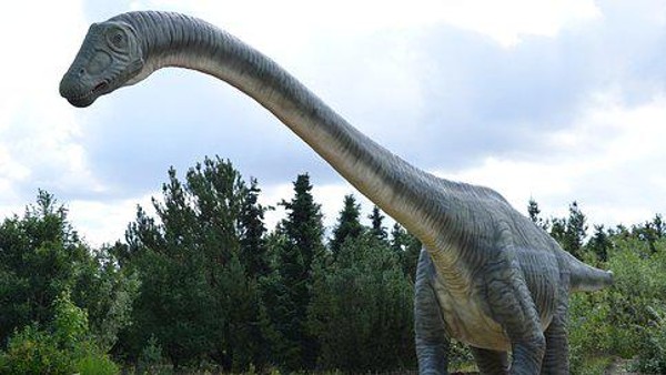 পাখির মতো বৈশিষ্ট্য ডাইনোসরের ওই প্রজাতির