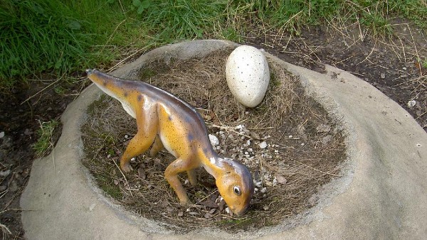 ডিমগুলিকে একটির মধ্যে একটি রক্ষিত ছিল