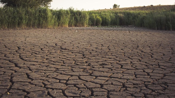 ভারতের কোন কোন ১৪টি রাজ্য বিপদের মুখে