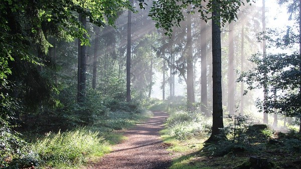  বান্ধবগড় ন্যাশনাল পার্ক