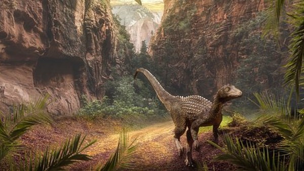 চুনযুক্ত বেলেপাথরের মধ্যে ডিমগুলি ছিল