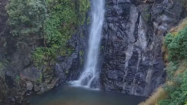 নেত্রাবলি বন্যপ্রাণী অভয়ারণ্য, গোয়া