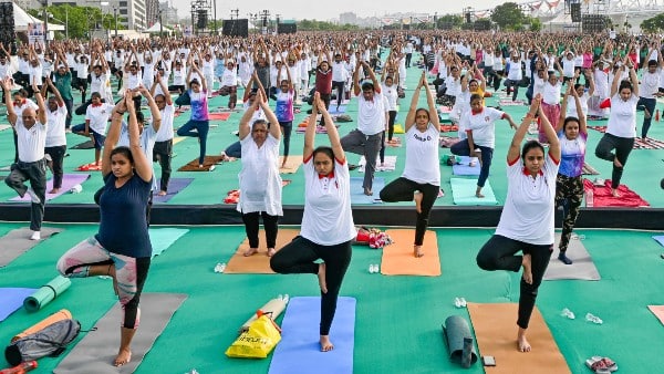 ব্রিটিশ জার্নাল অফ স্পোর্টস মেডিসিনে প্রকাশিত