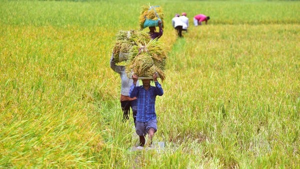 পরিসংখ্যানে কিছু সংশোধনের সম্ভাবনা