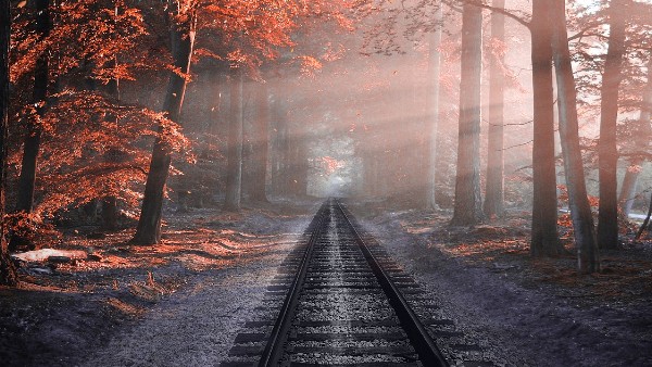  হিমালয়ান কুইন (কালকা-সিমলা)