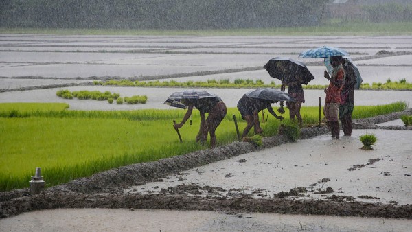 কৃষকদের পাশে মাদী সরকার