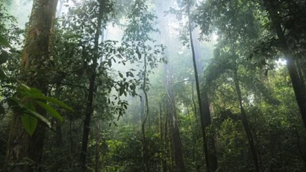 কীভাবে যাবেন